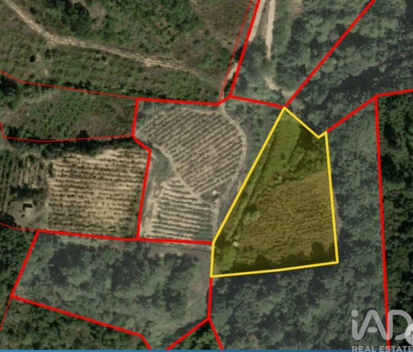 Terreno para Venda em Mafra Foto 21