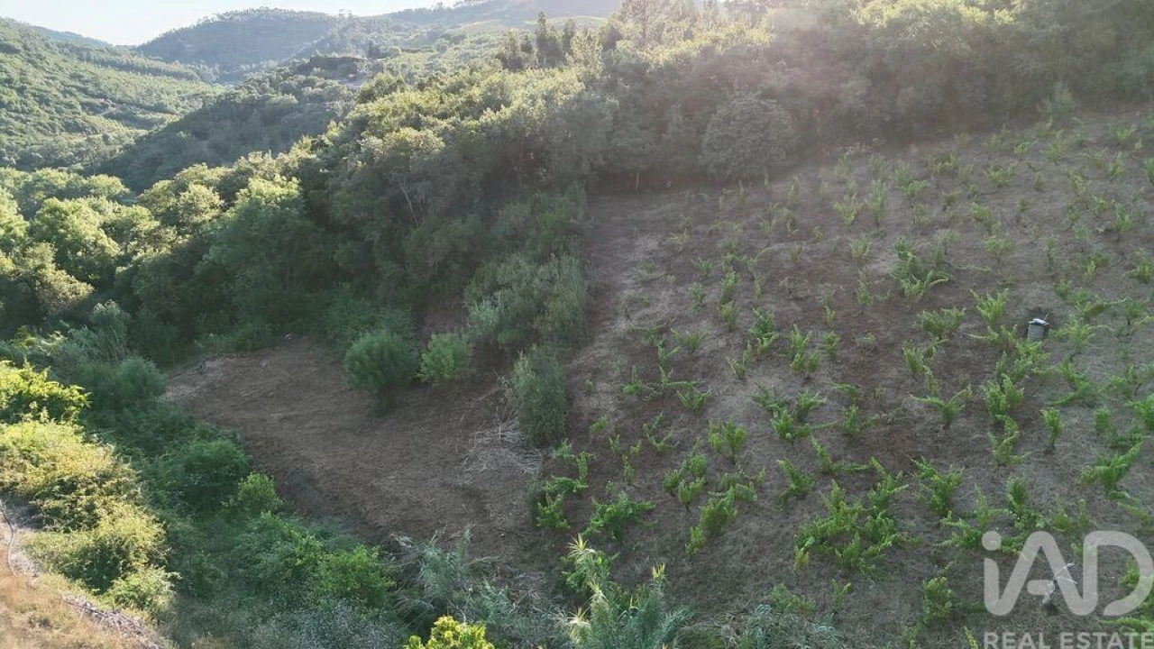 Terreno para Venda em Mafra Foto 14