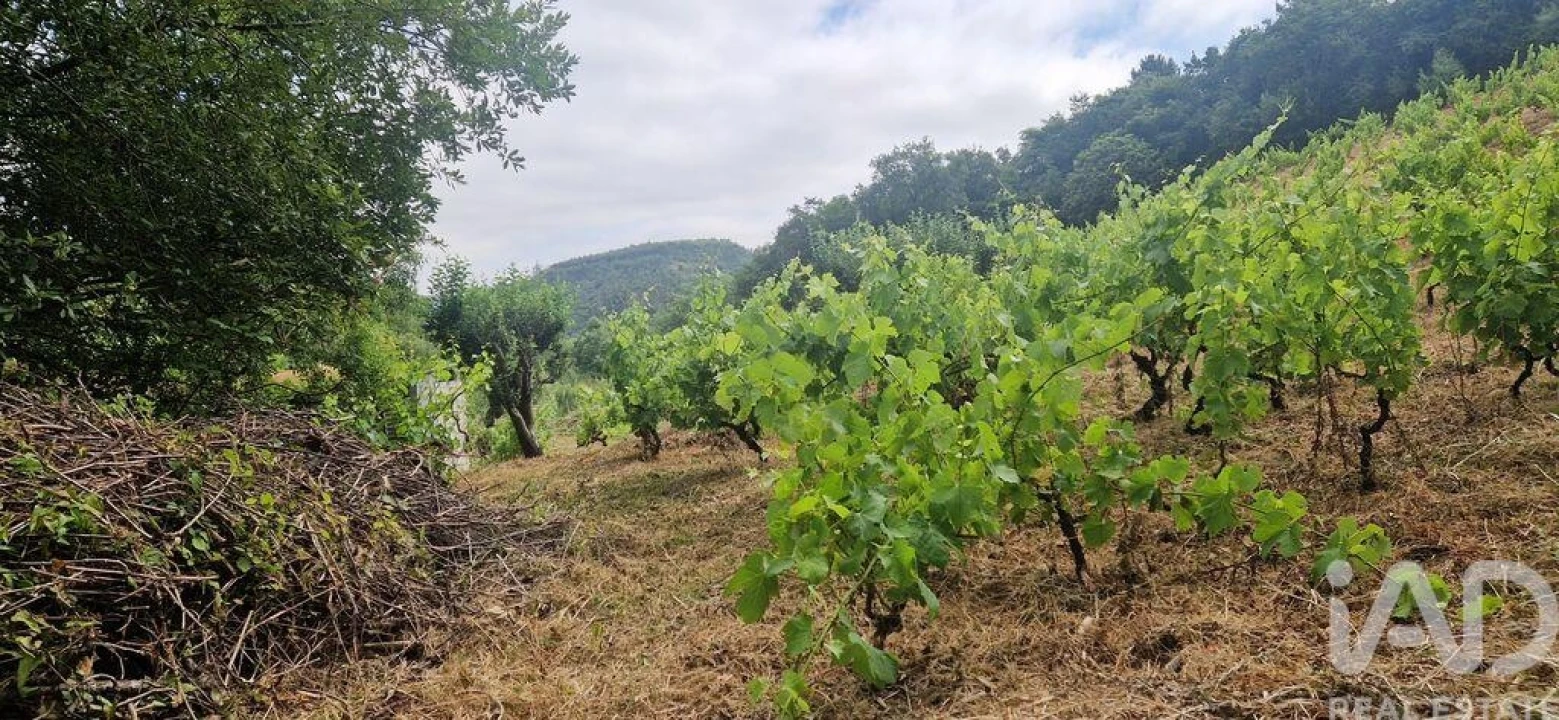 Terreno para Venda em Mafra Foto 11