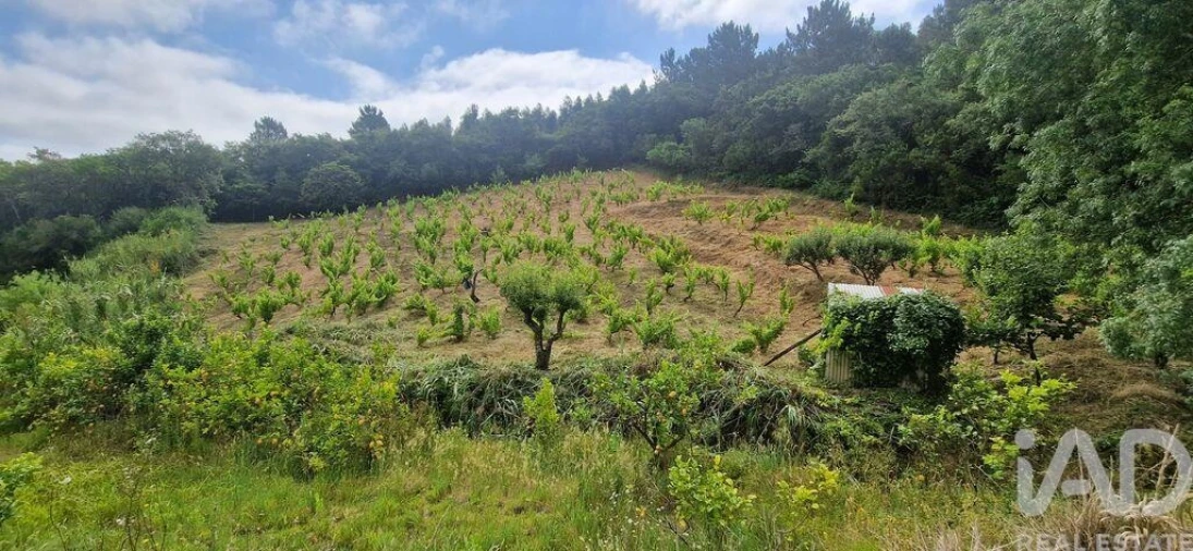 Terreno para Venda em Mafra Foto 8