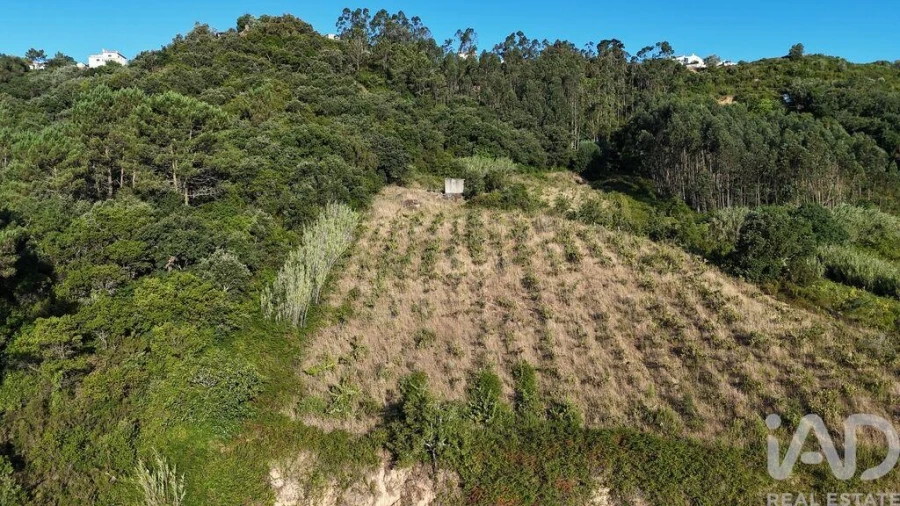 Terreno para Venda em Mafra Foto 16
