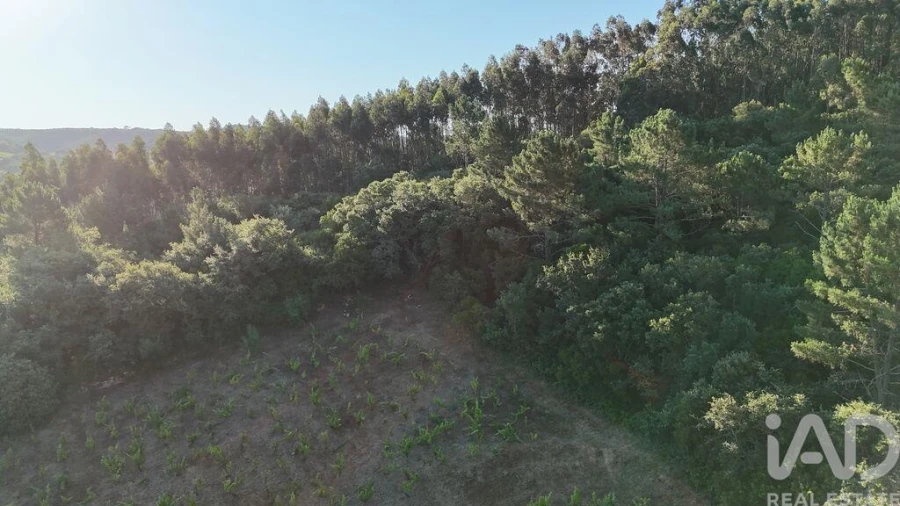 Terreno para Venda em Mafra Foto 18