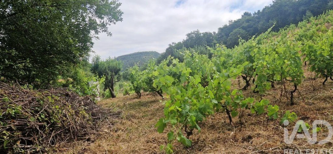 Terreno para Venda em Mafra Foto 11