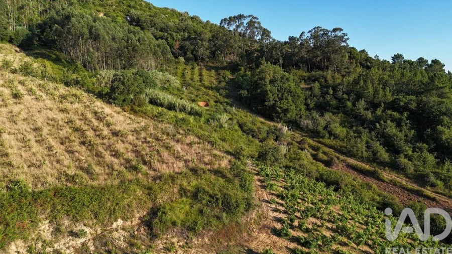 Terreno para Venda em Mafra Foto 17