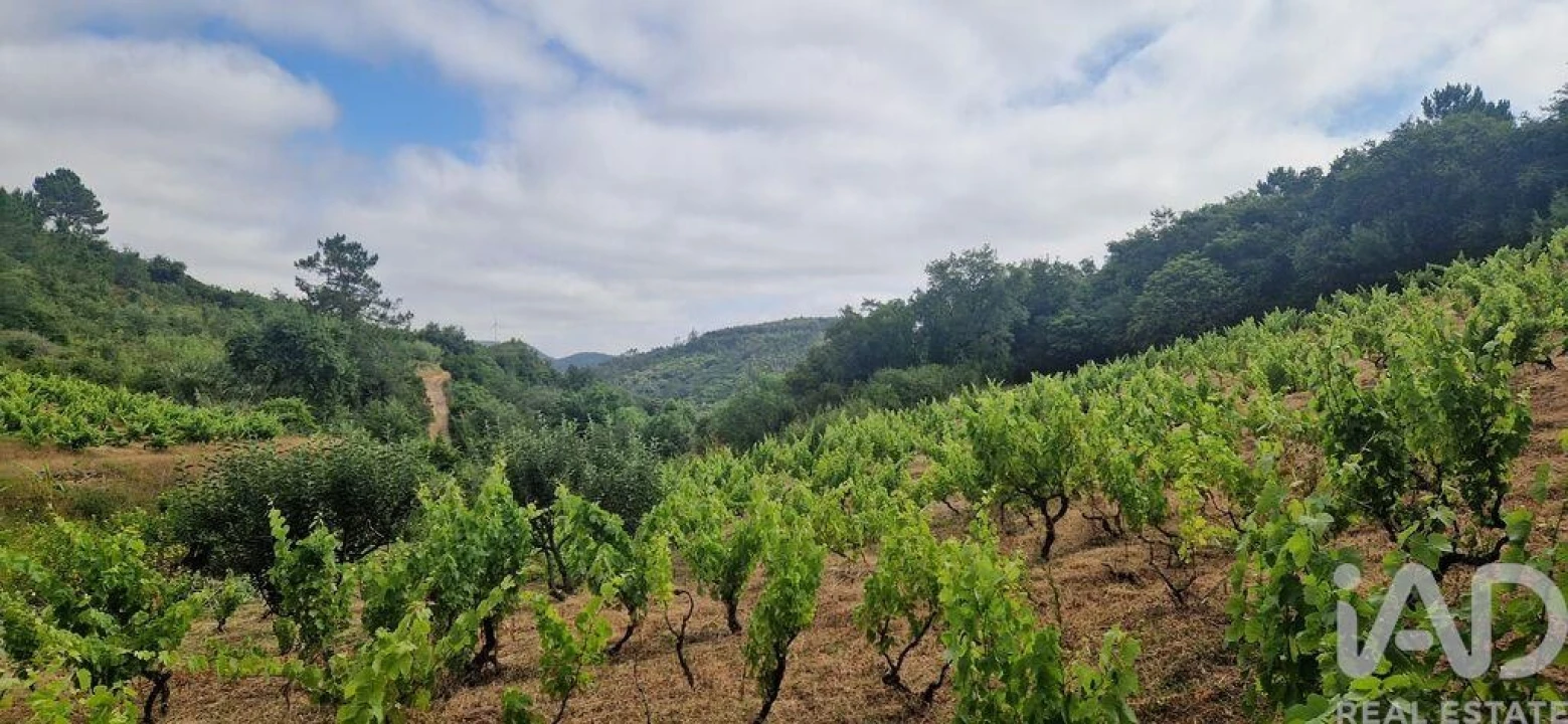 Terreno para Venda em Mafra Foto 13