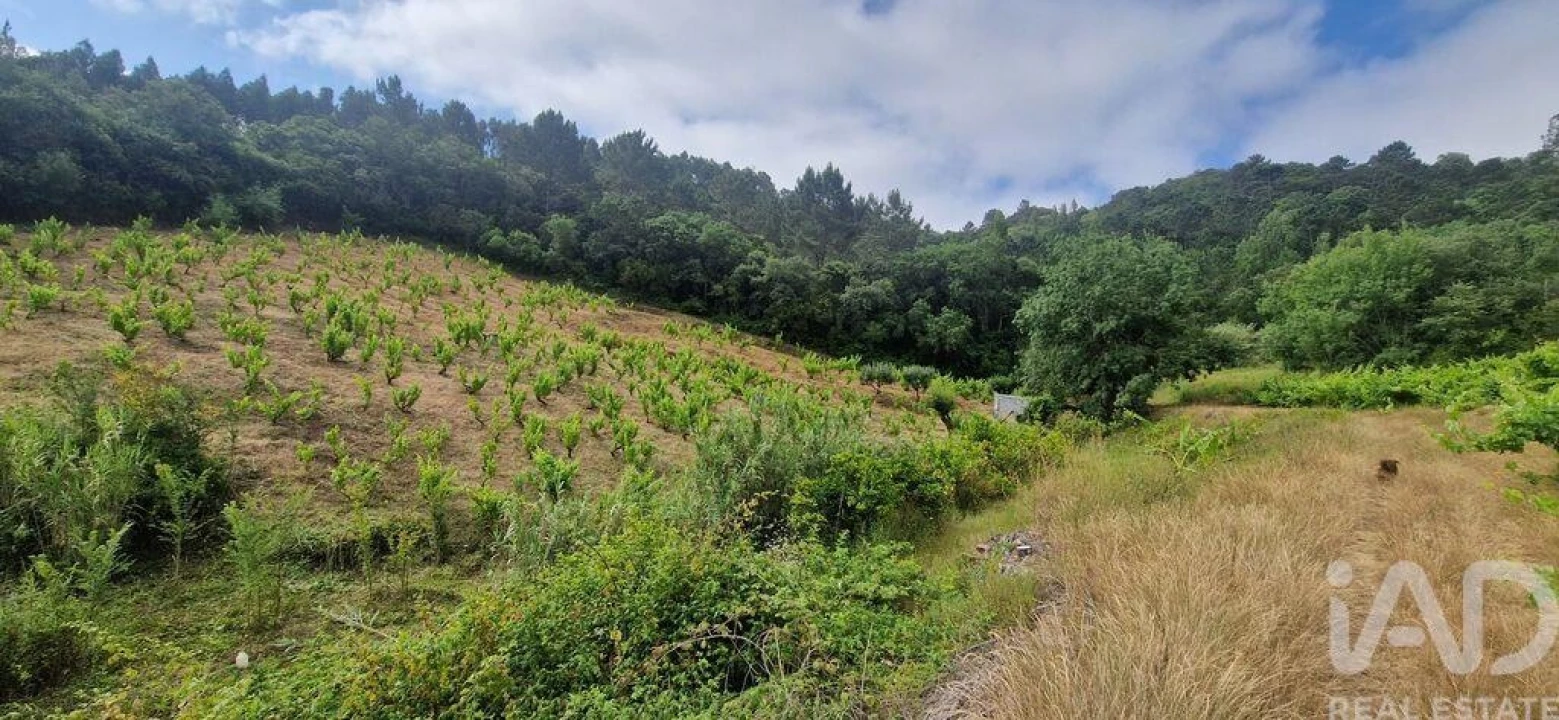 Terreno para Venda em Mafra Foto 6