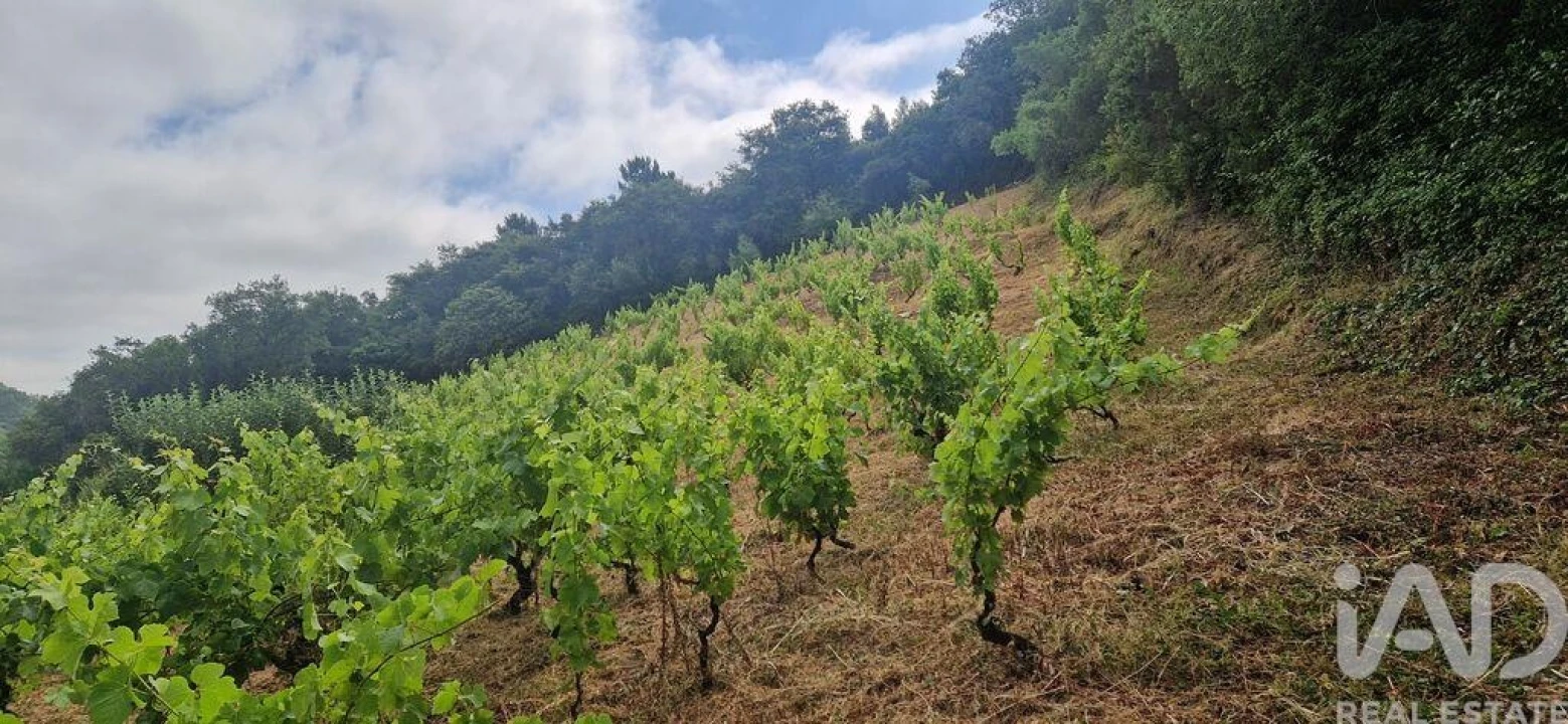 Terreno para Venda em Mafra Foto 12