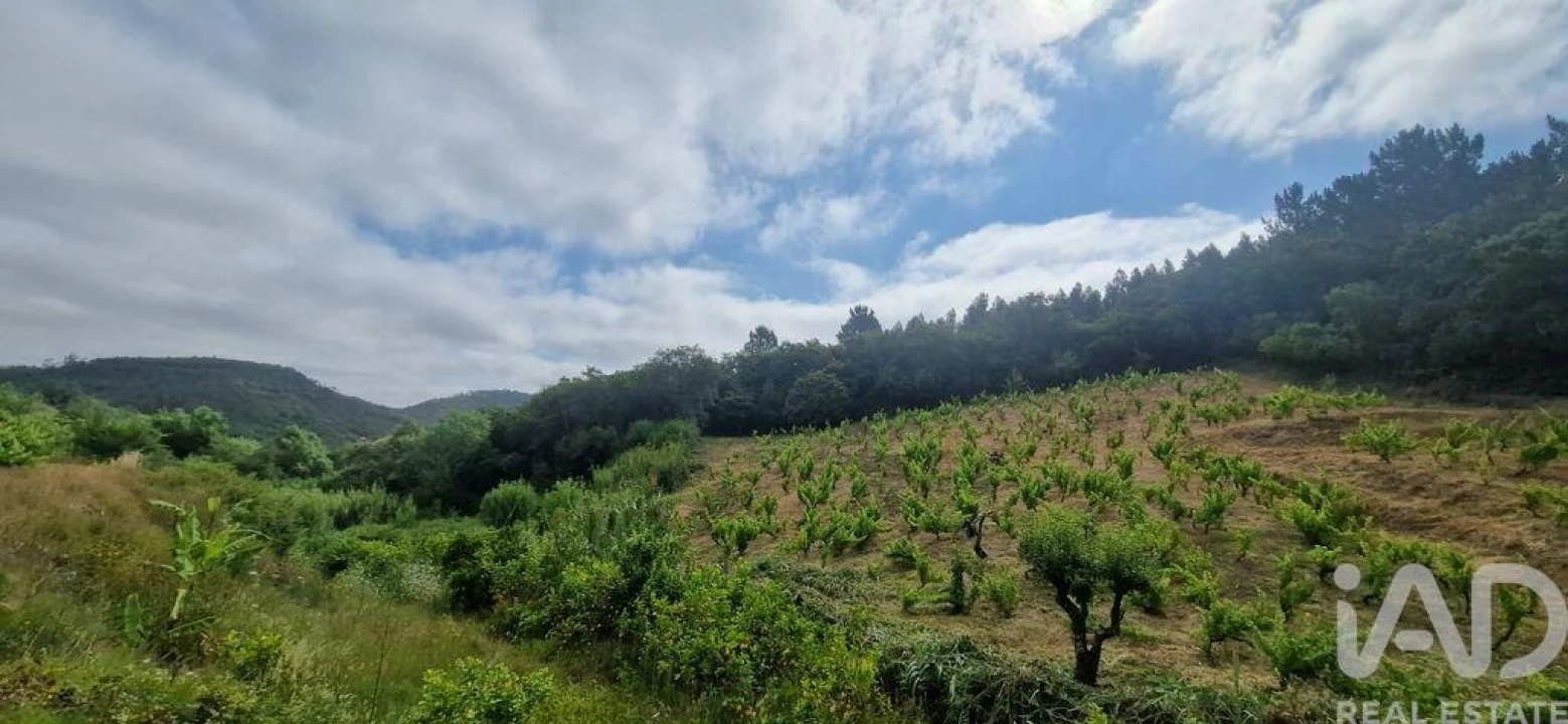 Terreno para Venda em Mafra Foto 9