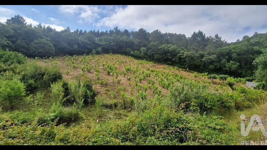 Terreno para Venda em Mafra