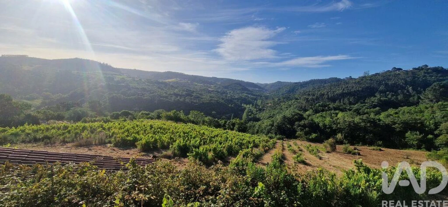 Terreno para Venda em Mafra Foto 23
