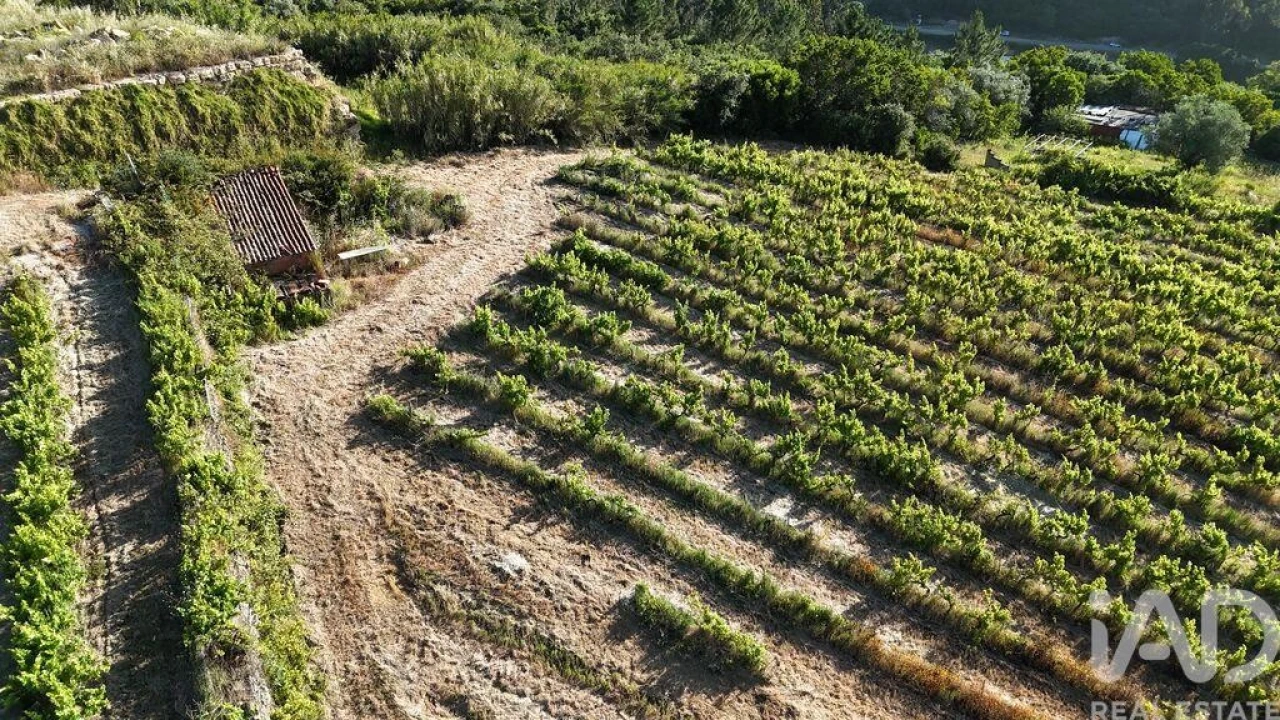 Terreno para Venda em Mafra Foto 24