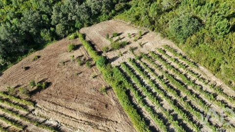 Terreno para Venda em Mafra