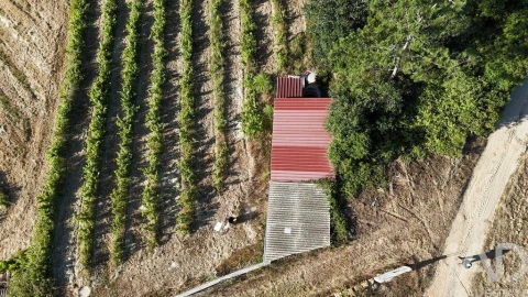 Terreno para Venda em Mafra
