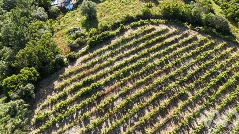 Terreno para Venda em Mafra
