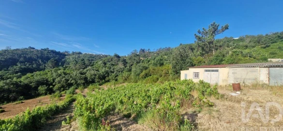 Terreno para Venda em Mafra