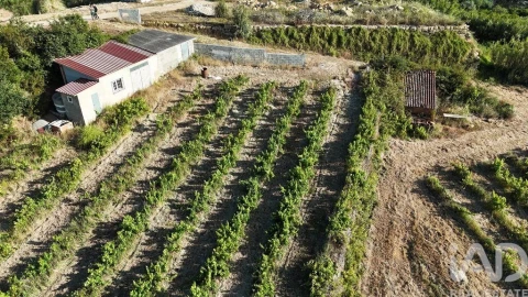 Terreno para Venda em Mafra