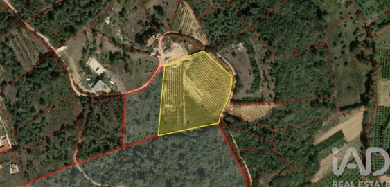 Terreno para Venda em Mafra