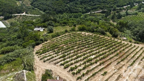 Terreno para Venda em Mafra