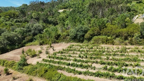 Terreno para Venda em Mafra