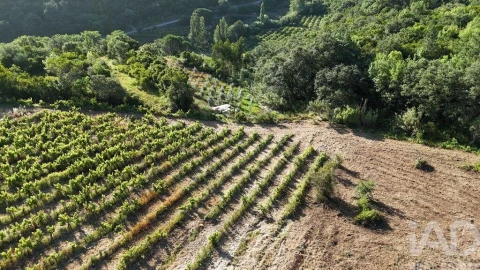 Terreno para Venda em Mafra