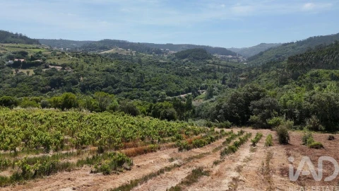 Terreno para Venda em Mafra