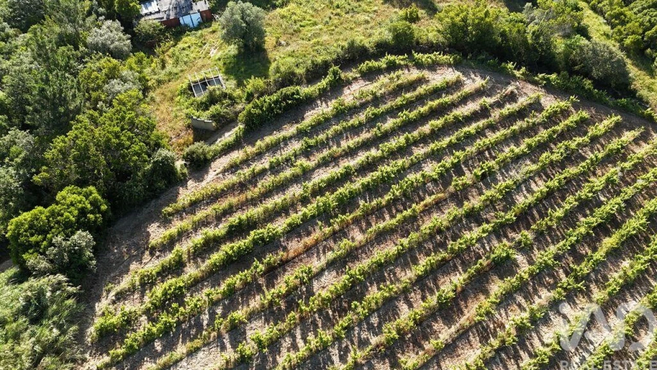 Terreno para Venda em Mafra Foto 4