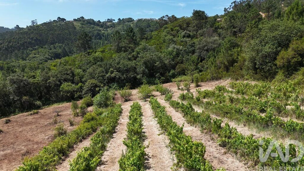 Terreno para Venda em Mafra Foto 17