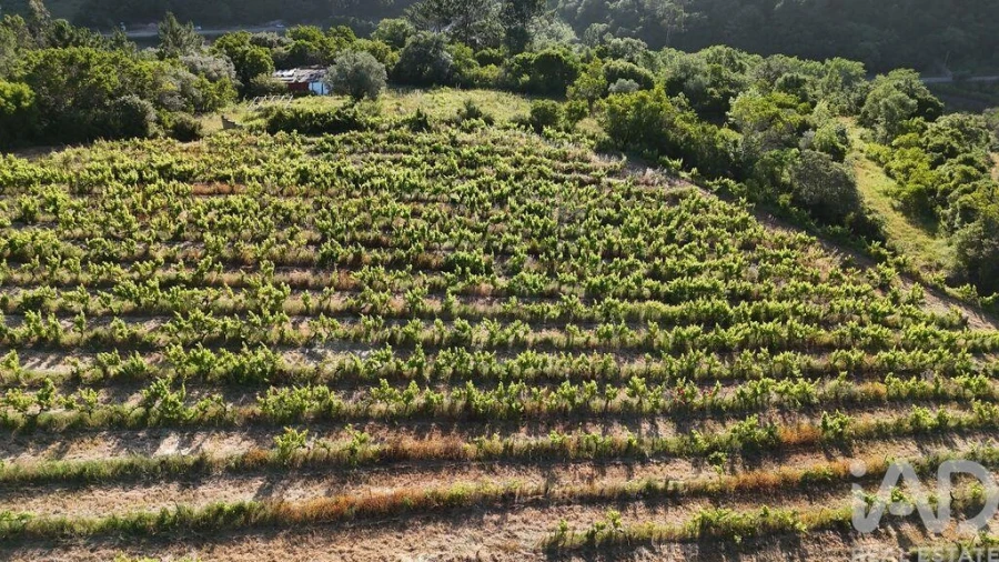 Terreno para Venda em Mafra Foto 5