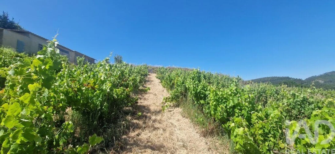 Terreno para Venda em Mafra Foto 20