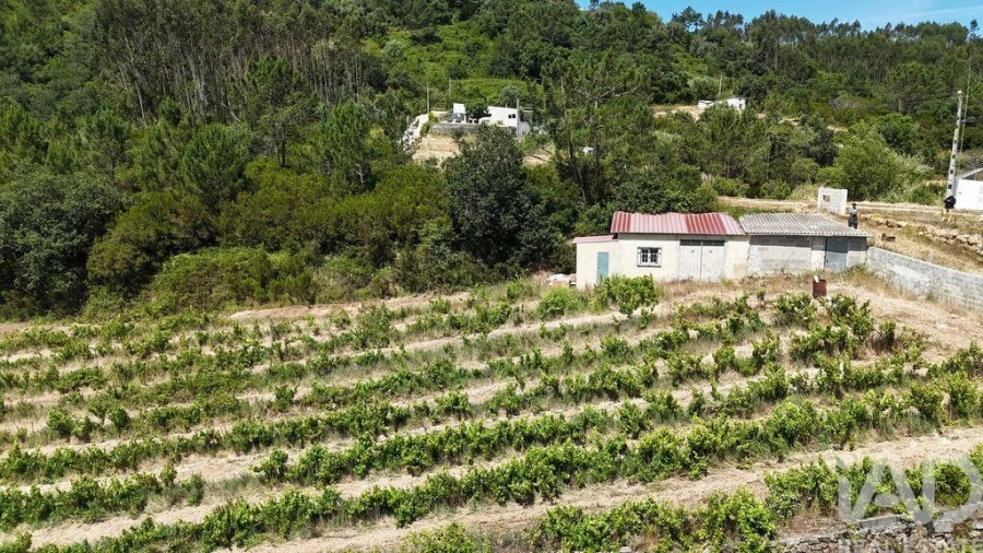 Terreno para Venda em Mafra Foto 14