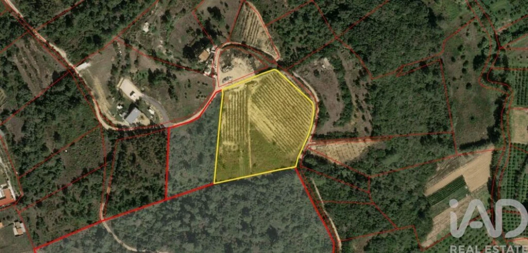 Terreno para Venda em Mafra Foto 22