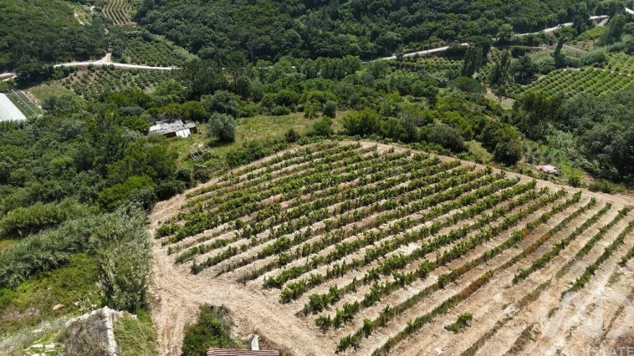 Terreno para Venda em Mafra Foto 11