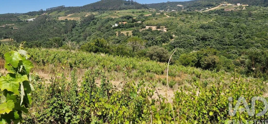 Terreno para Venda em Mafra Foto 3