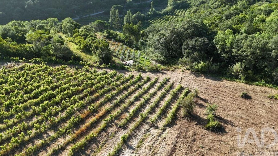 Terreno para Venda em Mafra Foto 8