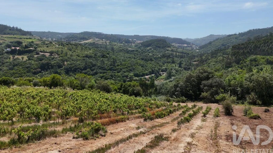 Terreno para Venda em Mafra Foto 13