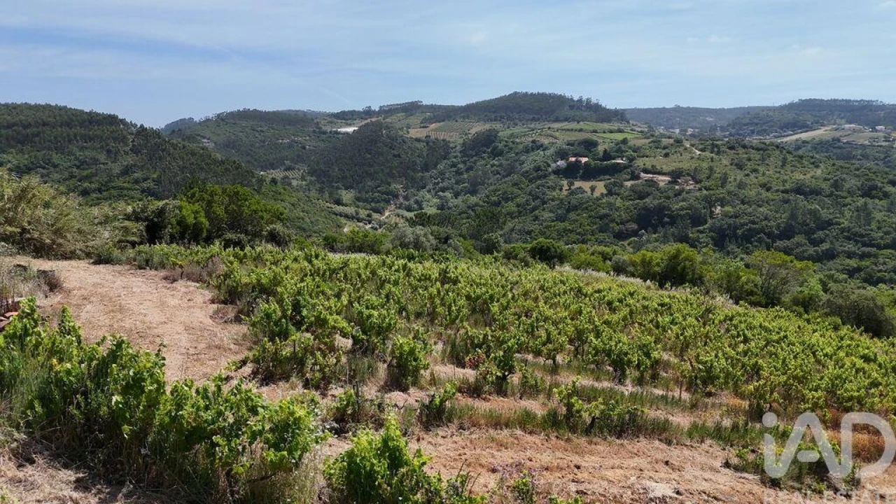 Terreno para Venda em Mafra Foto 16