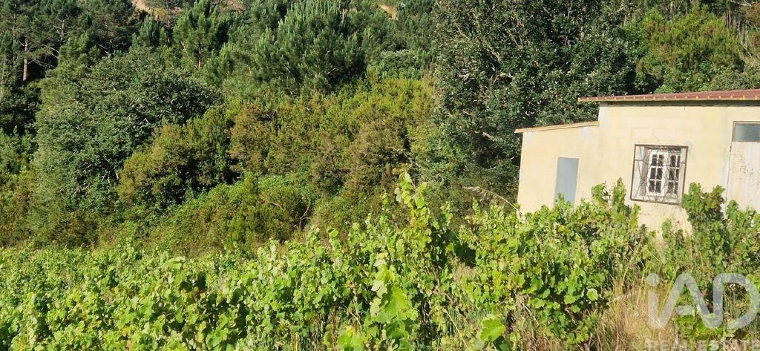 Terreno para Venda em Mafra Foto 1