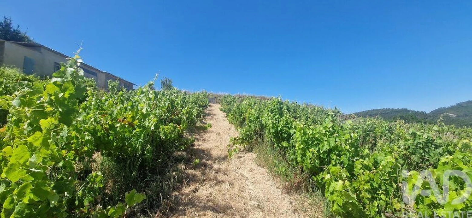 Terreno para Venda em Mafra Foto 21