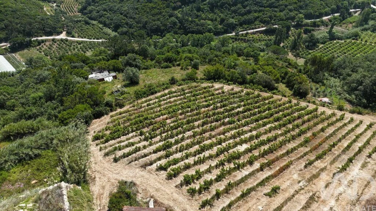 Terreno para Venda em Mafra Foto 11