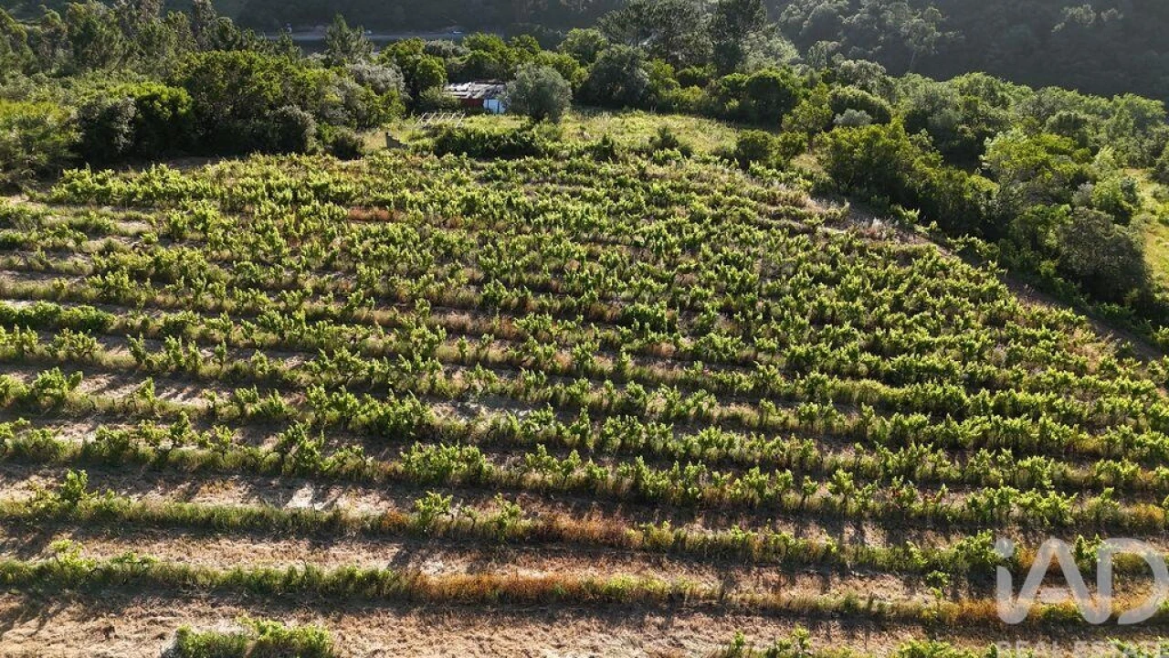 Terreno para Venda em Mafra Foto 7