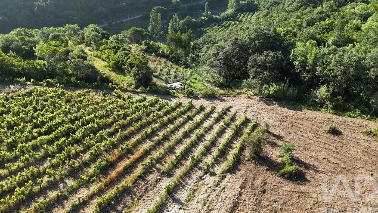 Terreno para Venda em Mafra Foto 8