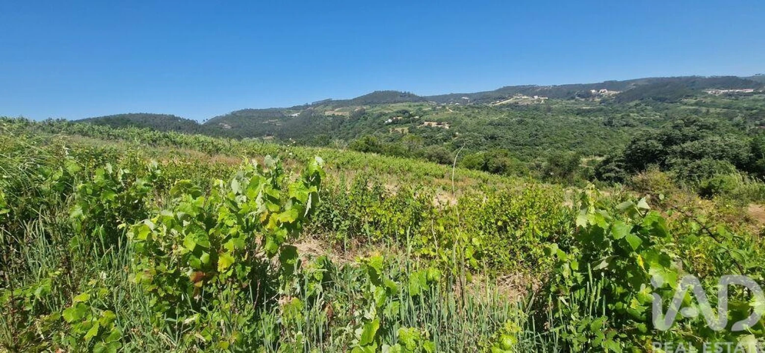 Terreno para Venda em Mafra Foto 2