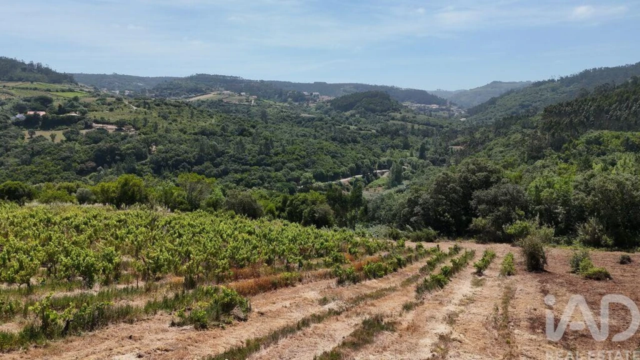 Terreno para Venda em Mafra Foto 13