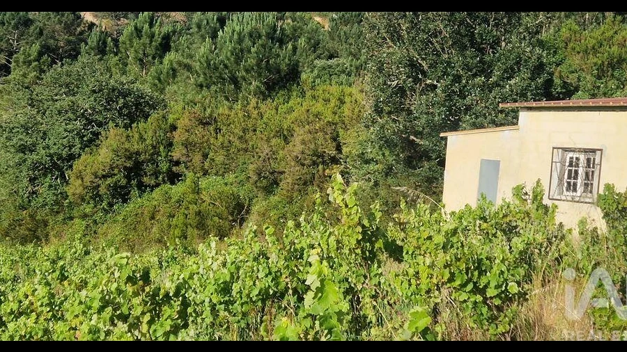 Terreno para Venda em Mafra