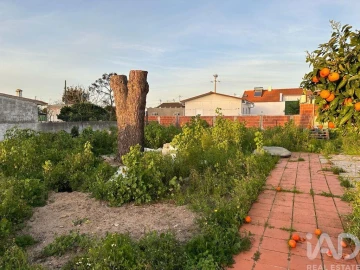 Terreno para Venda em Palmela
