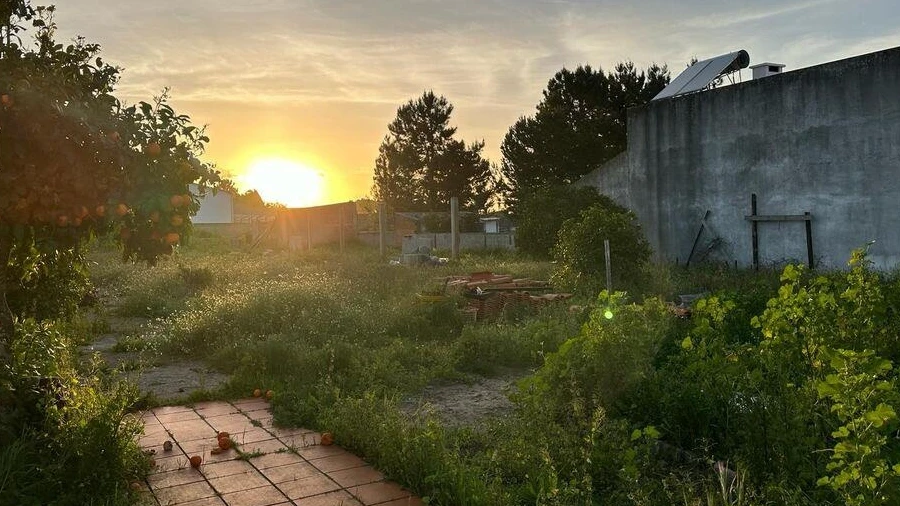 Terreno para Venda em Palmela