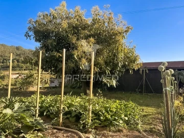 Moradia T6 para Venda em Vale (São Cosme), Telhado e Portela