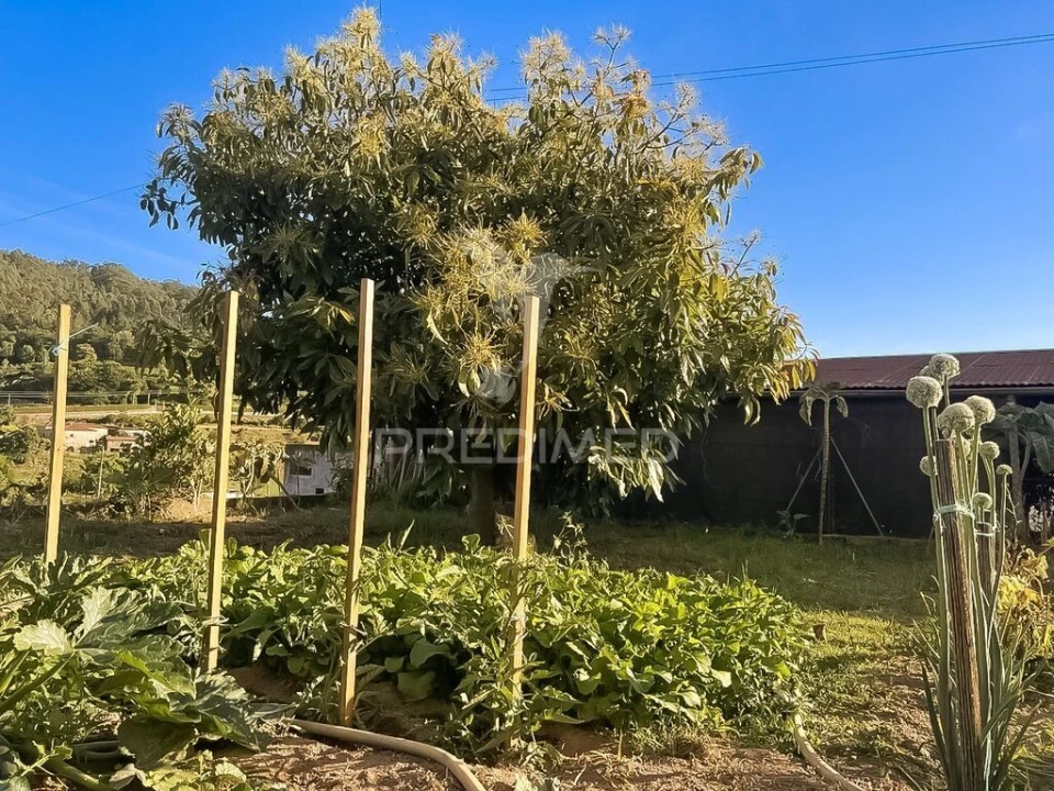 Moradia T6 para Venda em Vale (São Cosme), Telhado e Portela Foto 14