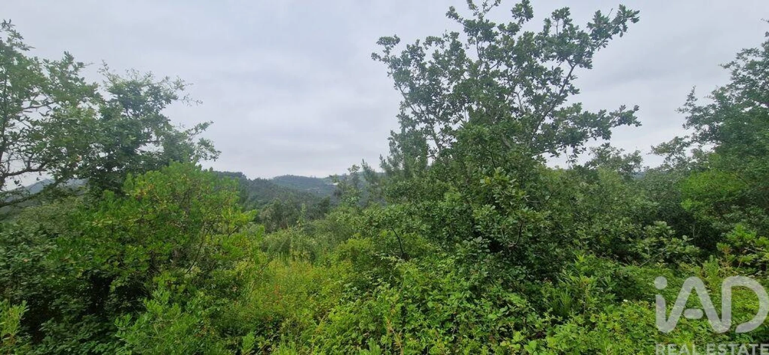 Terreno para Venda em Azueira e Sobral da Abelheira Foto 7
