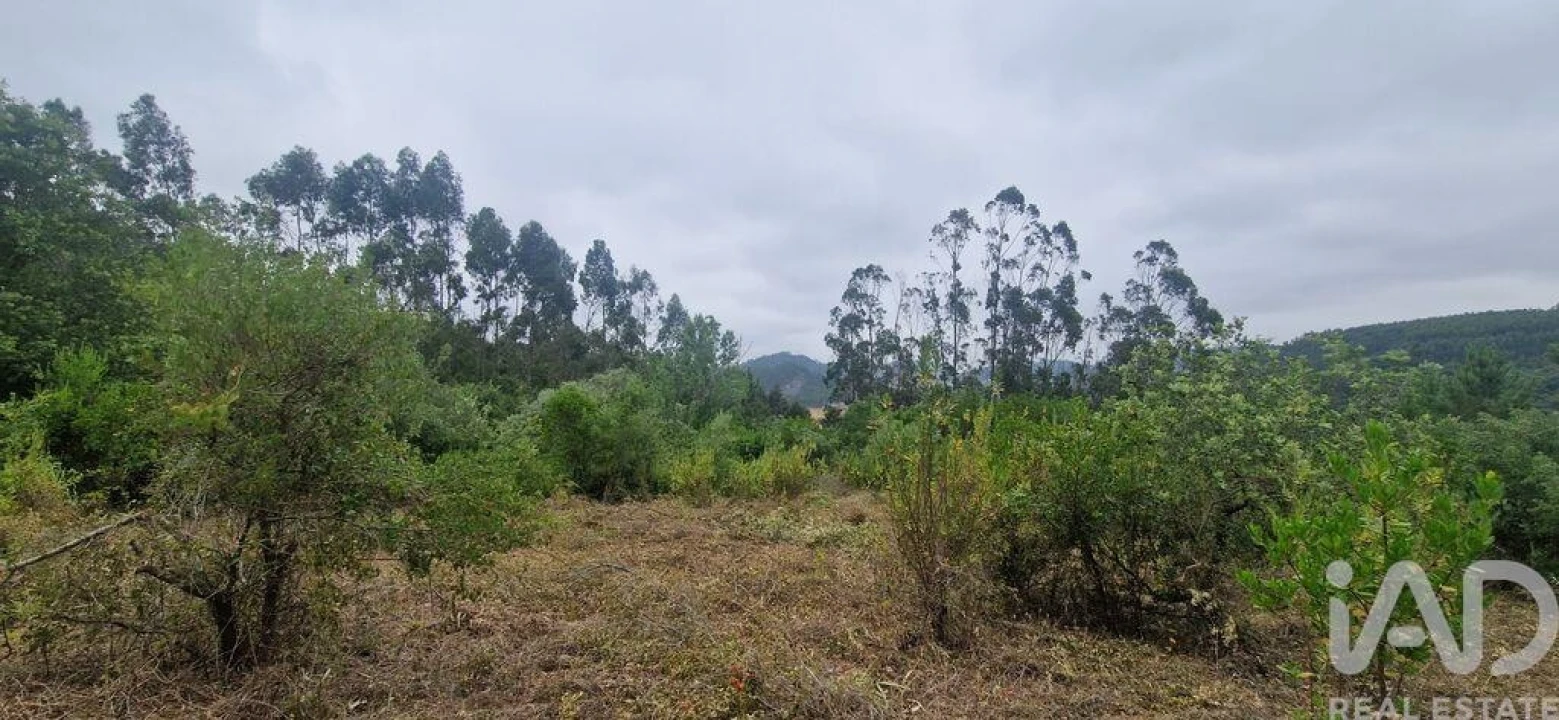 Terreno para Venda em Azueira e Sobral da Abelheira Foto 8